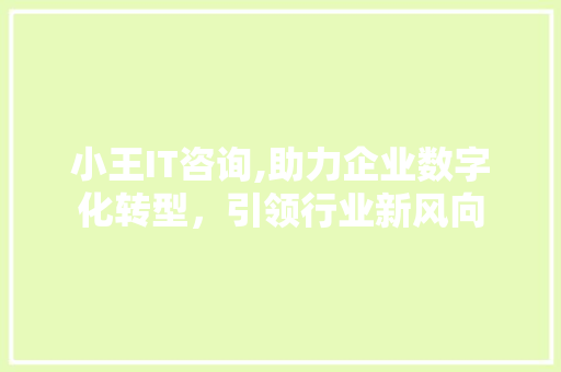 小王IT咨询,助力企业数字化转型，引领行业新风向