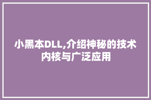 小黑本DLL,介绍神秘的技术内核与广泛应用