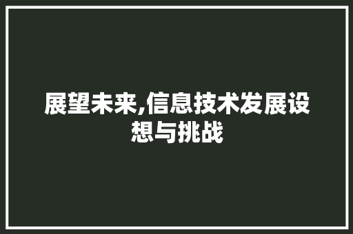 展望未来,信息技术发展设想与挑战