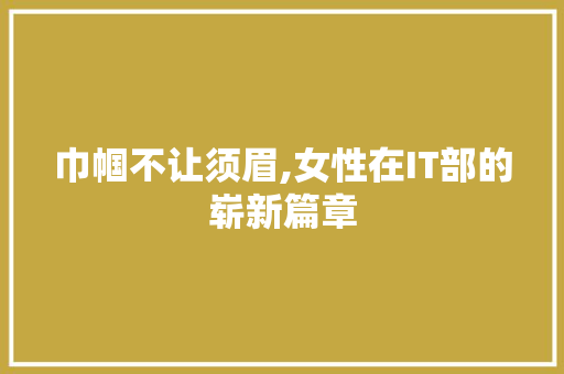 巾帼不让须眉,女性在IT部的崭新篇章 SEO关键词