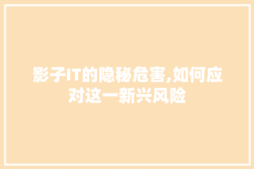 影子IT的隐秘危害,如何应对这一新兴风险