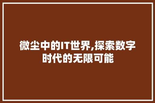 微尘中的IT世界,探索数字时代的无限可能 SEO关键词