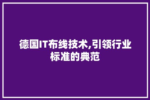 德国IT布线技术,引领行业标准的典范 网站建设公司