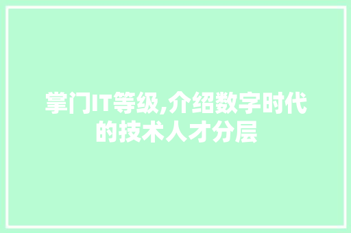 掌门IT等级,介绍数字时代的技术人才分层