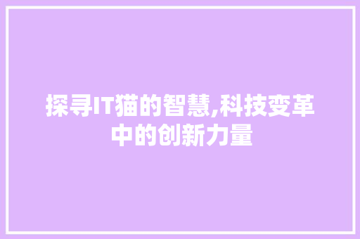 探寻IT猫的智慧,科技变革中的创新力量