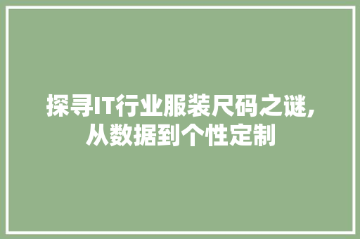 探寻IT行业服装尺码之谜,从数据到个性定制