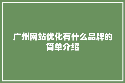 广州网站优化有什么品牌的简单介绍 广州网站优化有什么品牌的简单介绍 网站建设公司
