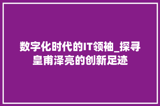 数字化时代的IT领袖_探寻皇甫泽亮的创新足迹 网站建设公司