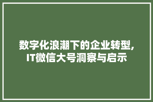 数字化浪潮下的企业转型,IT微信大号洞察与启示 网站建设公司