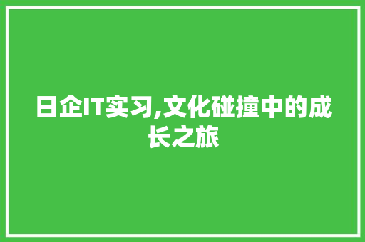 日企IT实习,文化碰撞中的成长之旅