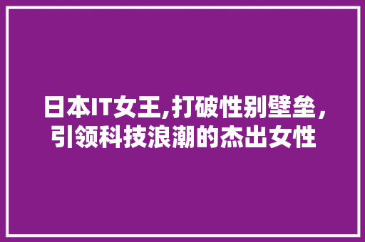 日本IT女王,打破性别壁垒，引领科技浪潮的杰出女性