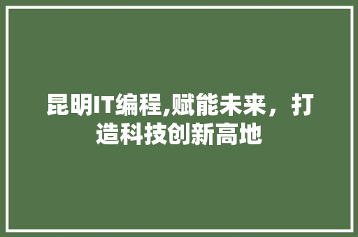昆明IT编程,赋能未来，打造科技创新高地 百度SEO