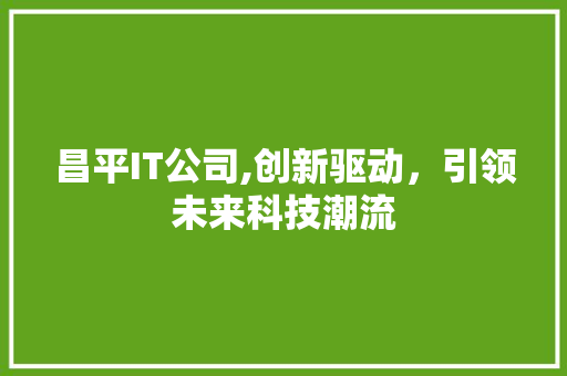 昌平IT公司,创新驱动，引领未来科技潮流