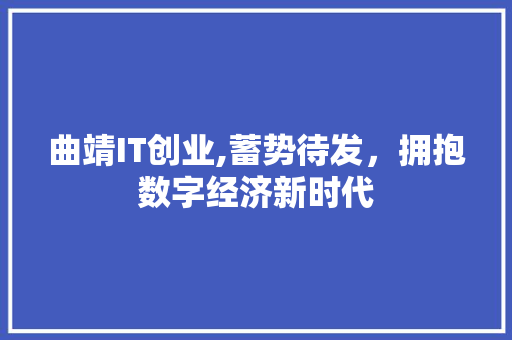 曲靖IT创业,蓄势待发，拥抱数字经济新时代 必应SEO