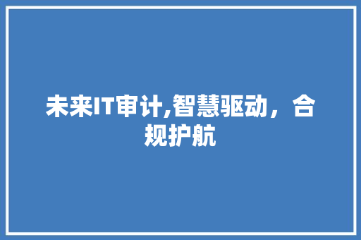 未来IT审计,智慧驱动，合规护航 百度SEO