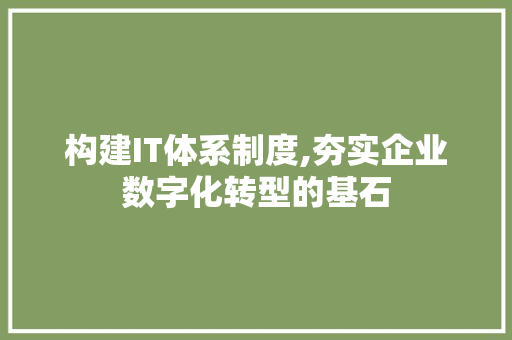 构建IT体系制度,夯实企业数字化转型的基石