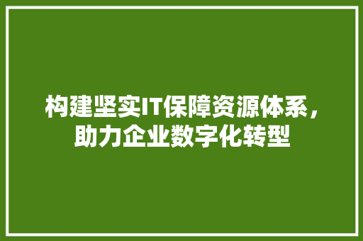 构建坚实IT保障资源体系，助力企业数字化转型