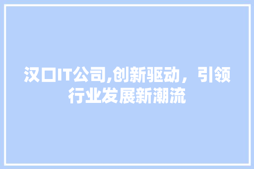 汉口IT公司,创新驱动，引领行业发展新潮流 百度SEO