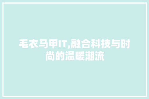 毛衣马甲IT,融合科技与时尚的温暖潮流 必应SEO