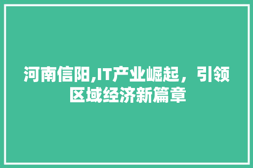 河南信阳,IT产业崛起，引领区域经济新篇章 网站建设公司