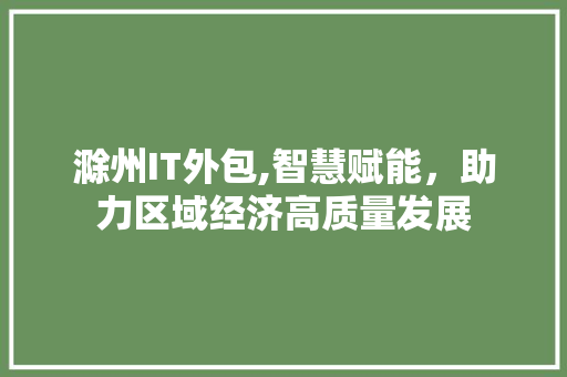 滁州IT外包,智慧赋能，助力区域经济高质量发展 SEO关键词