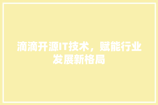 滴滴开源IT技术，赋能行业发展新格局 必应SEO