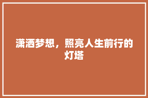 潇洒梦想，照亮人生前行的灯塔 网站建设公司