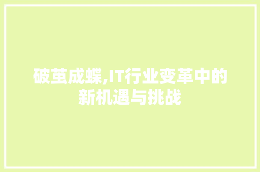 破茧成蝶,IT行业变革中的新机遇与挑战 网站建设公司