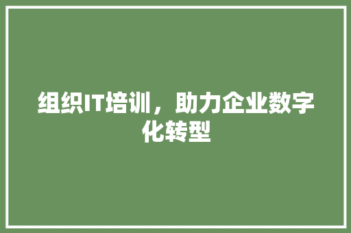 组织IT培训，助力企业数字化转型