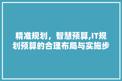 精准规划，智慧预算,IT规划预算的合理布局与实施步骤