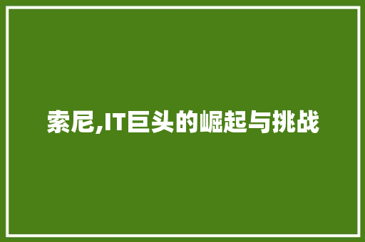 索尼,IT巨头的崛起与挑战