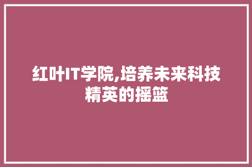 红叶IT学院,培养未来科技精英的摇篮