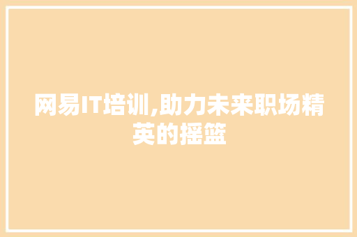 网易IT培训,助力未来职场精英的摇篮 百度SEO