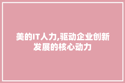 美的IT人力,驱动企业创新发展的核心动力 网站建设公司