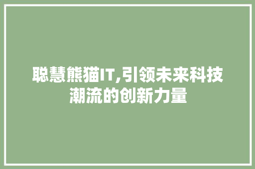 聪慧熊猫IT,引领未来科技潮流的创新力量 百度SEO