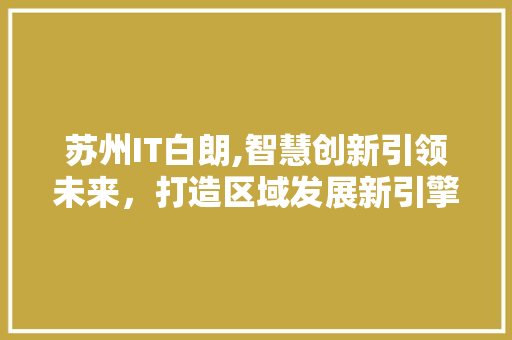 苏州IT白朗,智慧创新引领未来，打造区域发展新引擎