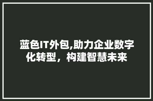蓝色IT外包,助力企业数字化转型，构建智慧未来 SEO关键词