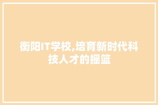衡阳IT学校,培育新时代科技人才的摇篮 百度SEO