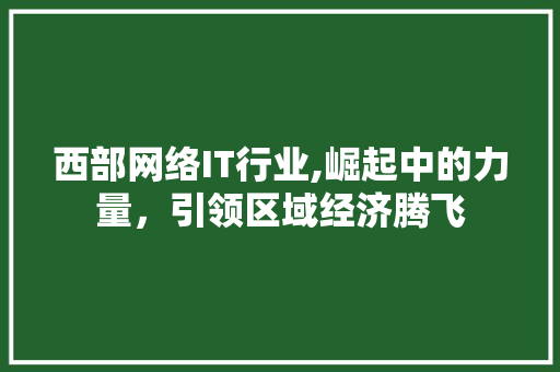 西部网络IT行业,崛起中的力量，引领区域经济腾飞 百度SEO