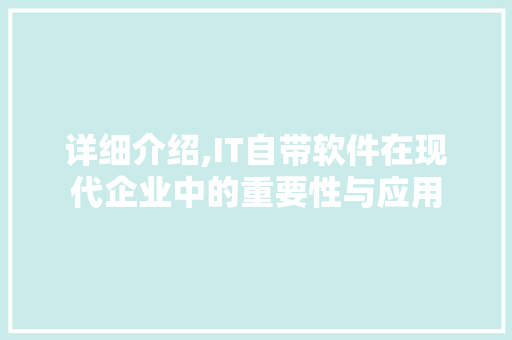 详细介绍,IT自带软件在现代企业中的重要性与应用