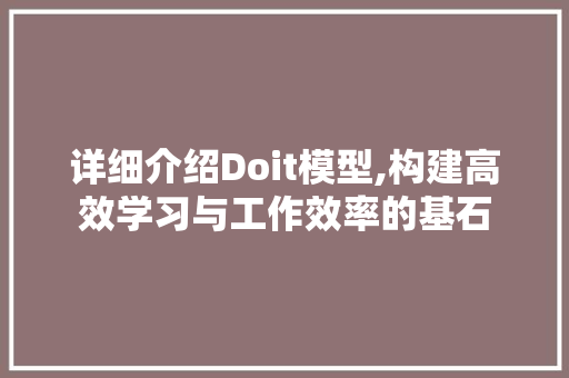 详细介绍Doit模型,构建高效学习与工作效率的基石