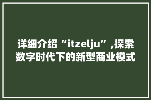详细介绍“itzelju”,探索数字时代下的新型商业模式