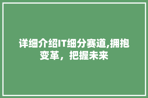 详细介绍IT细分赛道,拥抱变革，把握未来