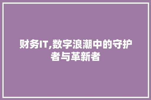 财务IT,数字浪潮中的守护者与革新者