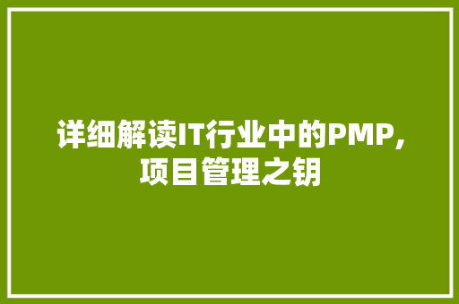 详细解读IT行业中的PMP,项目管理之钥