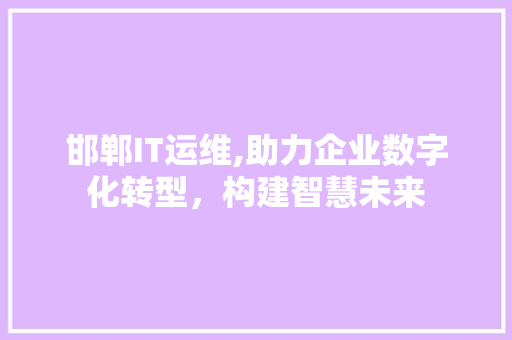 邯郸IT运维,助力企业数字化转型，构建智慧未来
