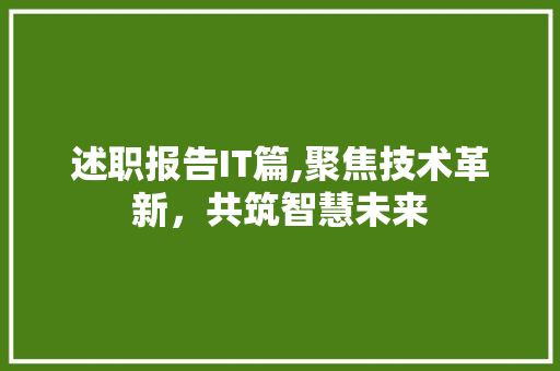 述职报告IT篇,聚焦技术革新，共筑智慧未来