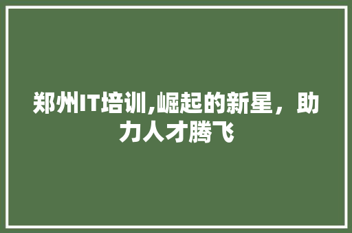 郑州IT培训,崛起的新星，助力人才腾飞