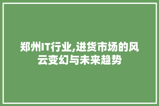 郑州IT行业,进货市场的风云变幻与未来趋势
