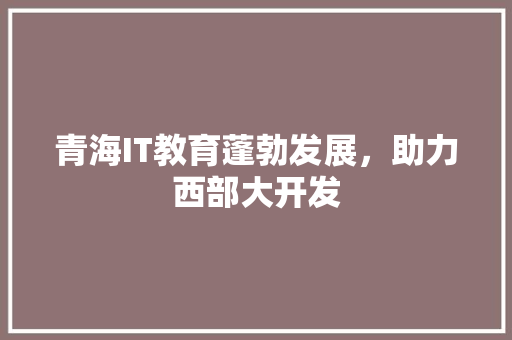青海IT教育蓬勃发展，助力西部大开发